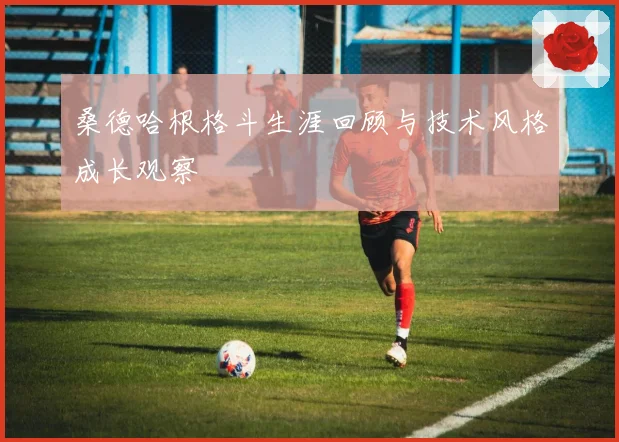 桑德哈根格斗生涯回顾与技术风格成长观察