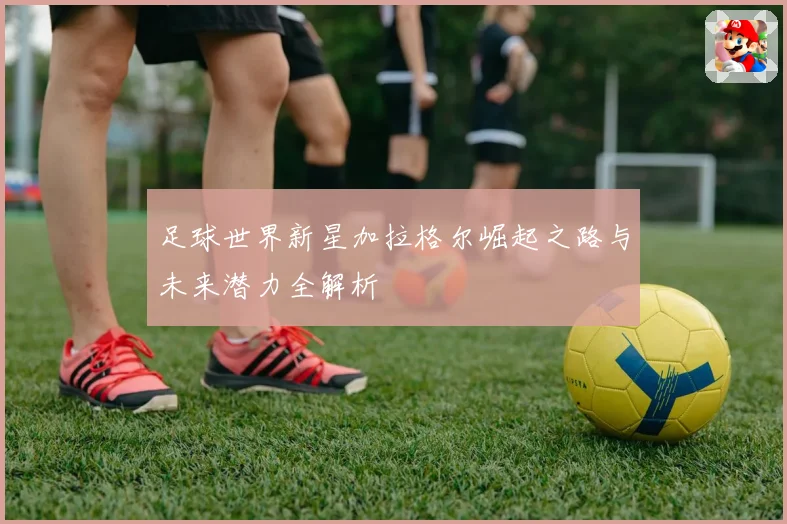 足球世界新星加拉格尔崛起之路与未来潜力全解析