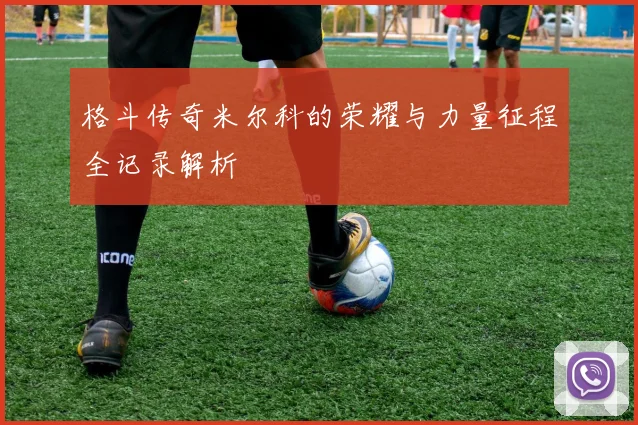 格斗传奇米尔科的荣耀与力量征程全记录解析