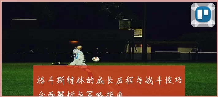 格斗斯特林的成长历程与战斗技巧全面解析与策略指南