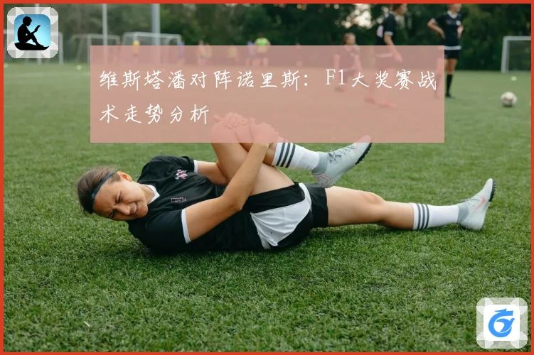 维斯塔潘对阵诺里斯：F1大奖赛战术走势分析