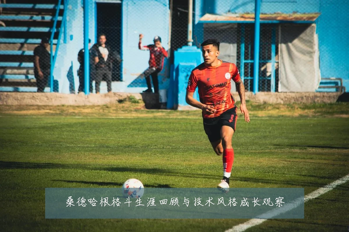 桑德哈根格斗生涯回顾与技术风格成长观察