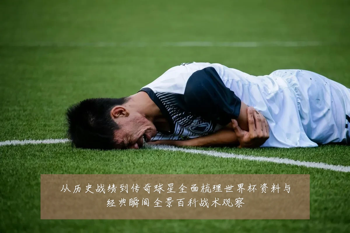 从历史战绩到传奇球星全面梳理世界杯资料与经典瞬间全景百科战术观察